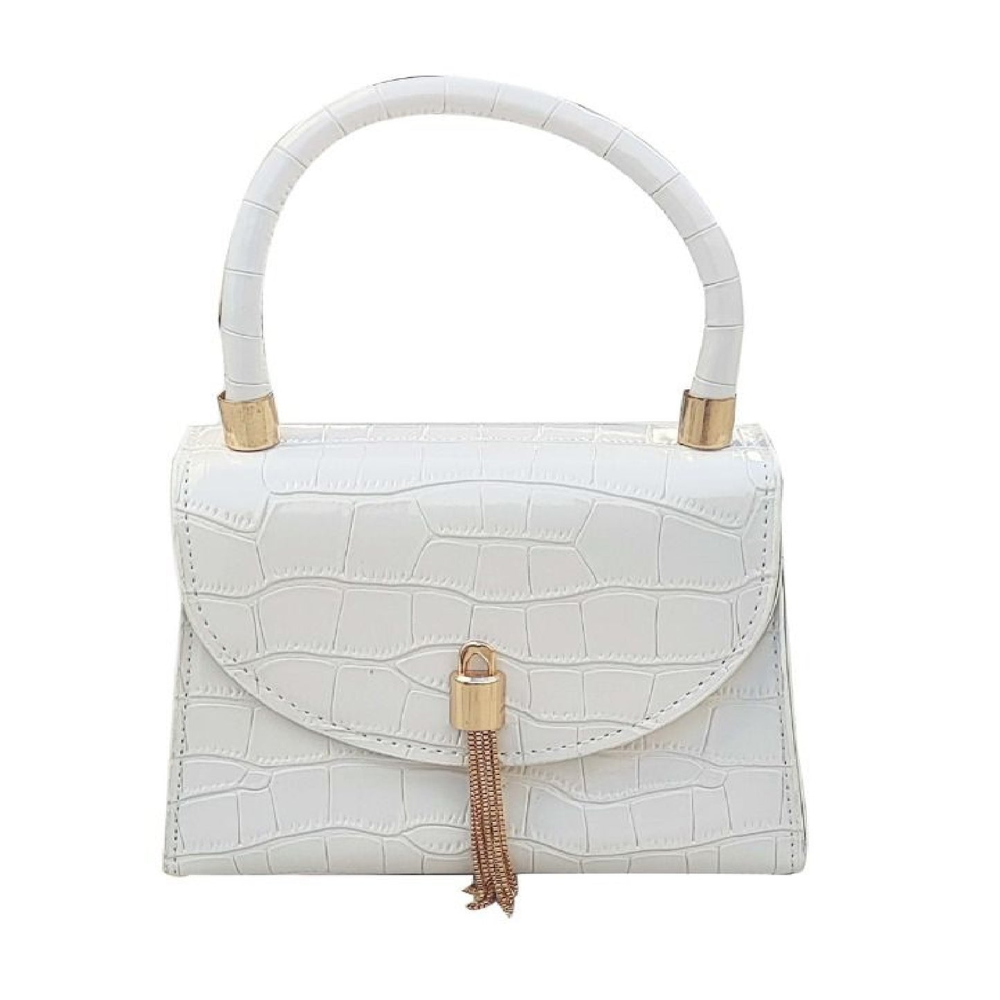 Fashionable Women's Handbag "DT-BW1033"