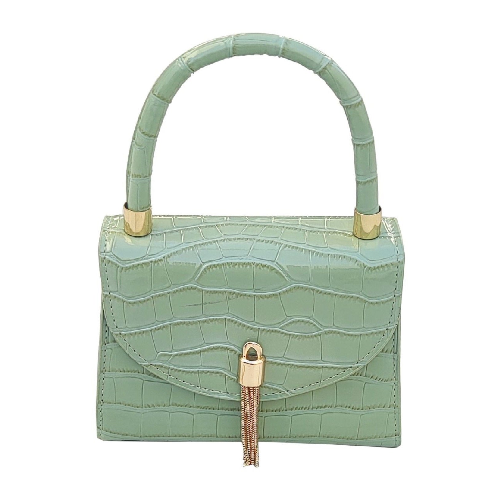Fashionable Women's Handbag "DT-BW1033"