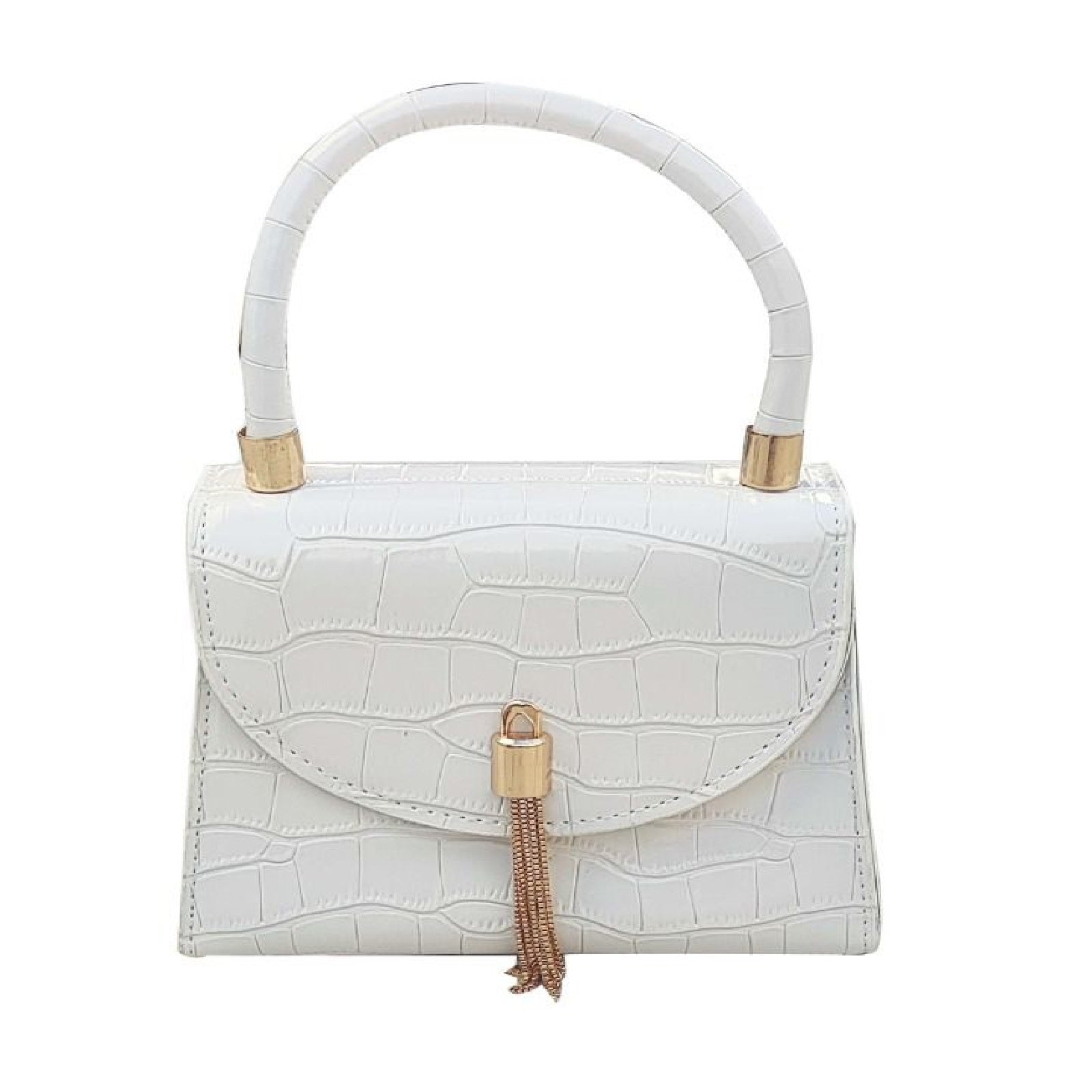 Fashionable Women's Handbag "DT-BW1033"